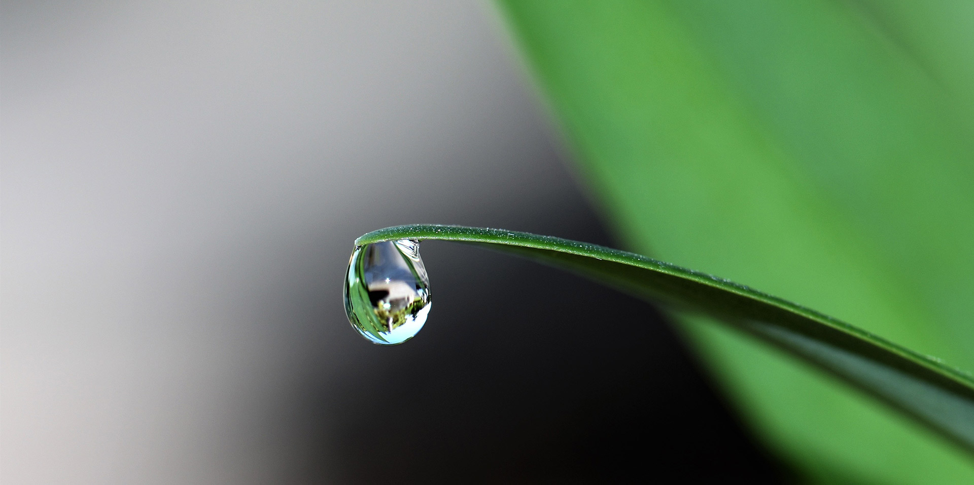 Tratamiento de Aguas en Guatemala