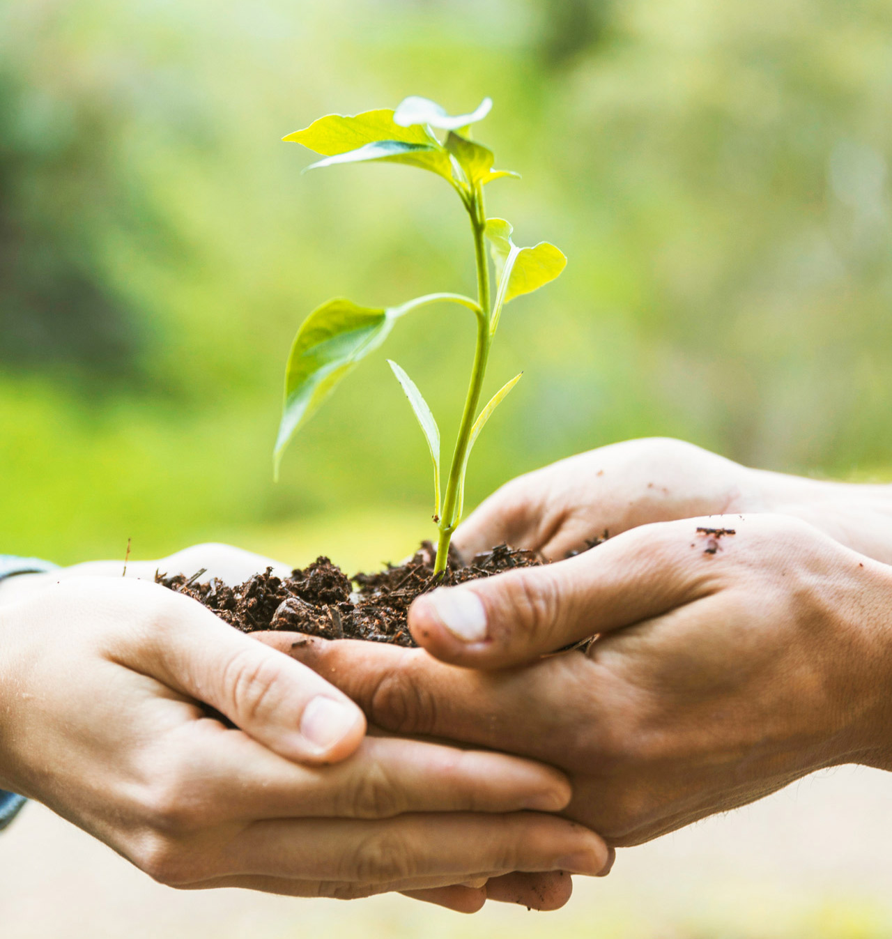 soluciones de limpieza ecoamigable